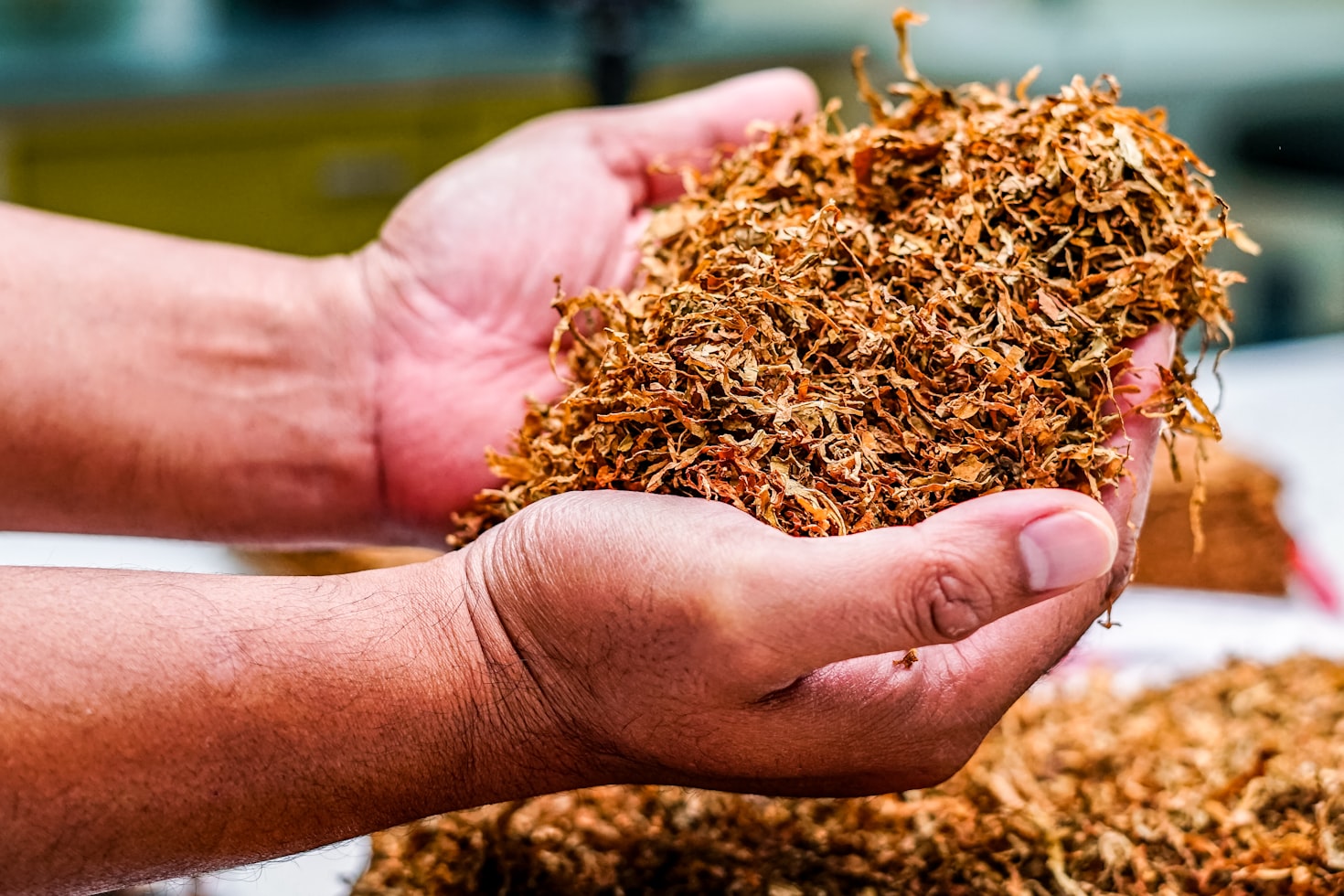 Premium Tobacco Leaves